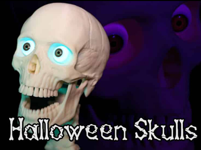 Halloween Skulls